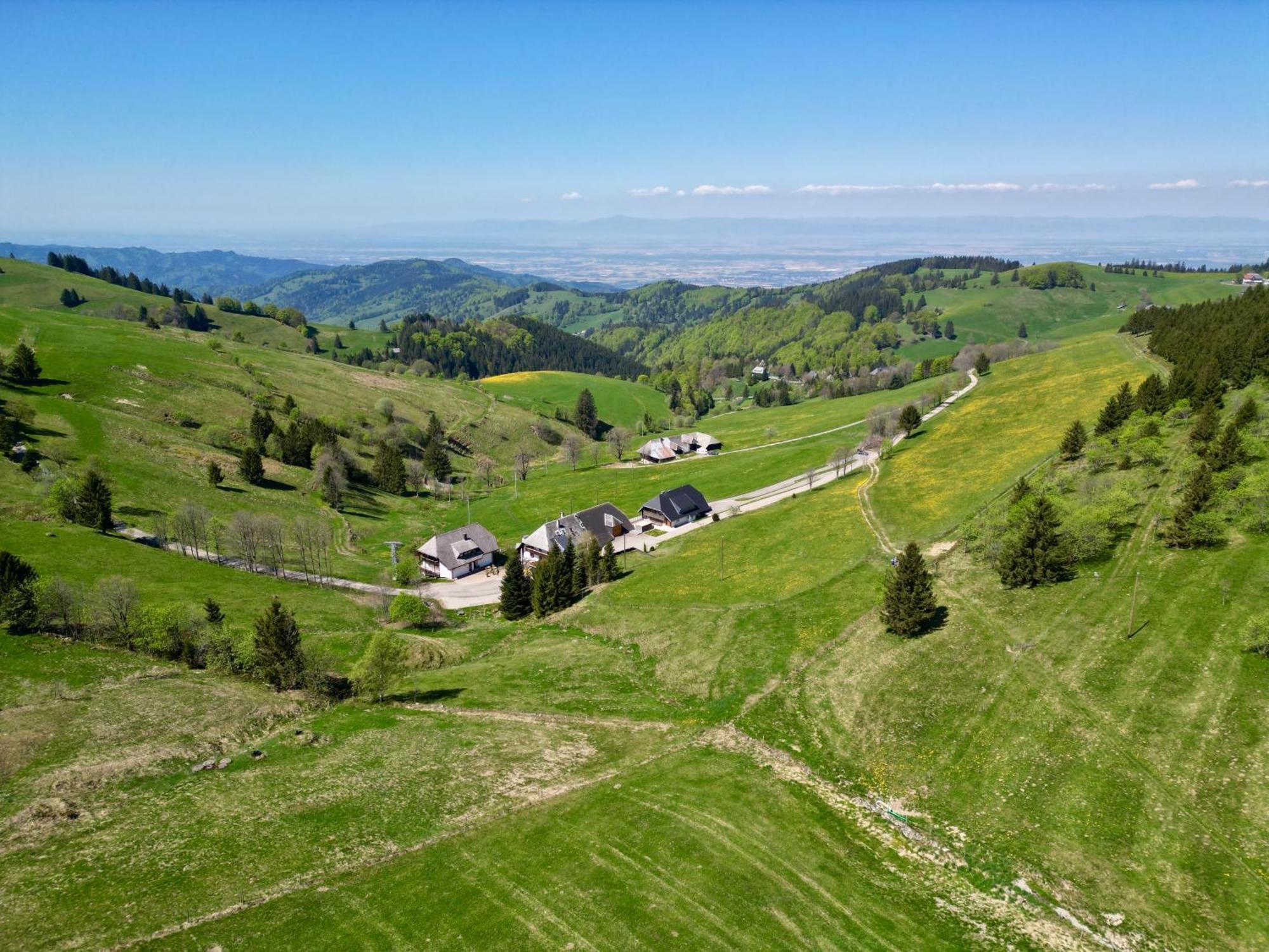 View House, Schauinsland, Black Forest Münstertal المظهر الخارجي الصورة
